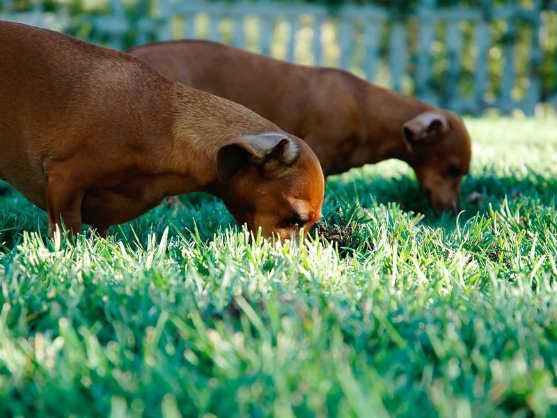 sudoku strategy guide