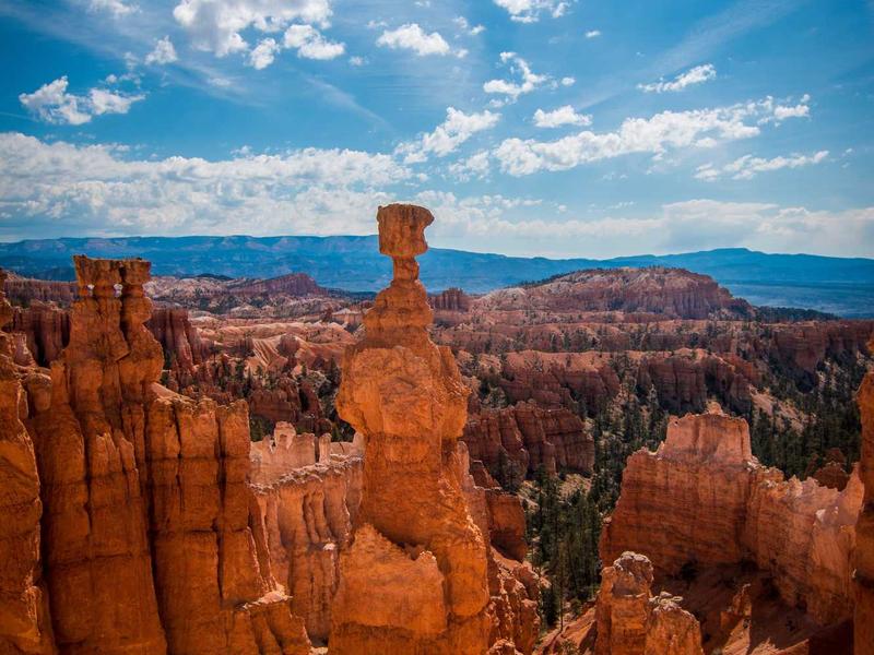 sudoku pattern recognition screenshot 5